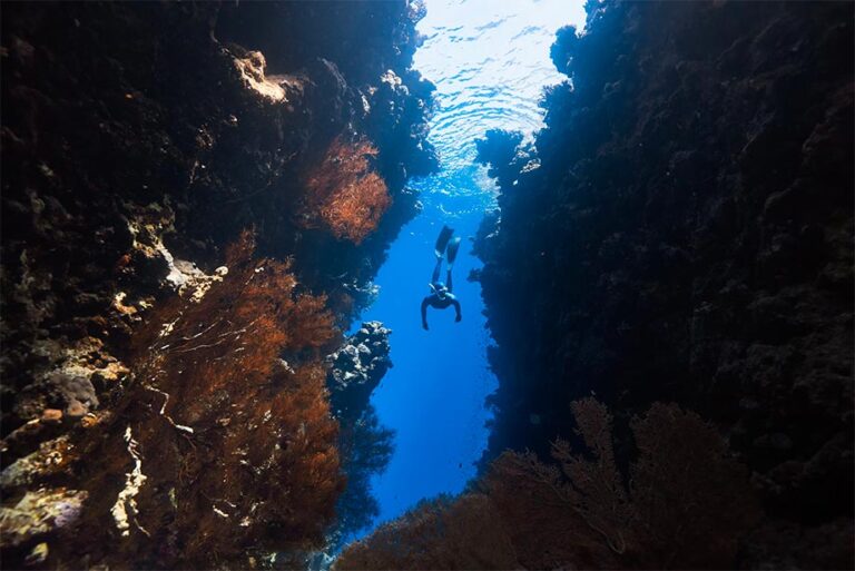 Plongée sous marine Croatie